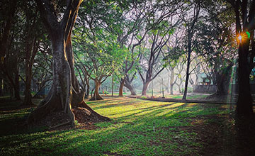 Cubbon Park